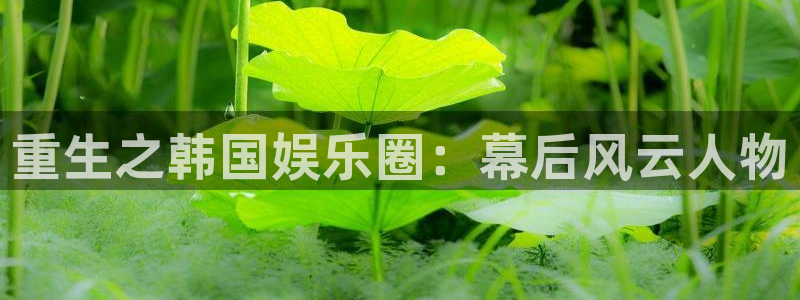 富联娱乐：重生之韩国娱乐圈：幕后风云人物