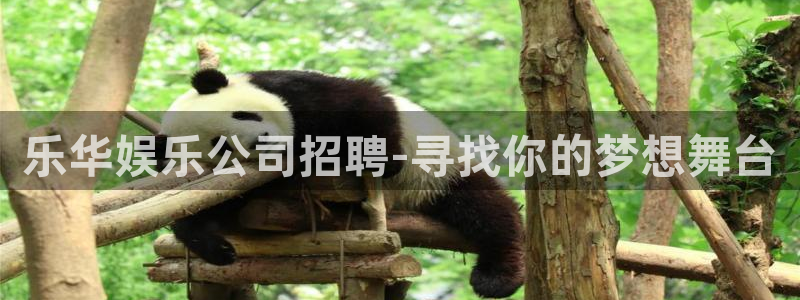 富联娱乐：乐华娱乐公司招聘-寻找你的梦想舞台