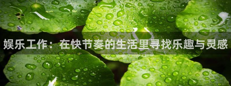 富联娱乐