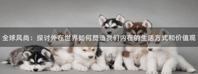 富联娱乐