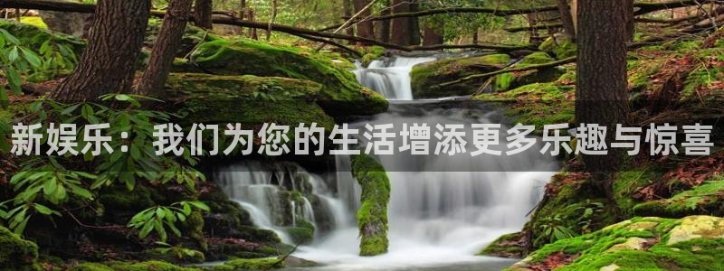 富联娱乐：新娱乐：我们为您的生活增添更多乐趣与惊喜