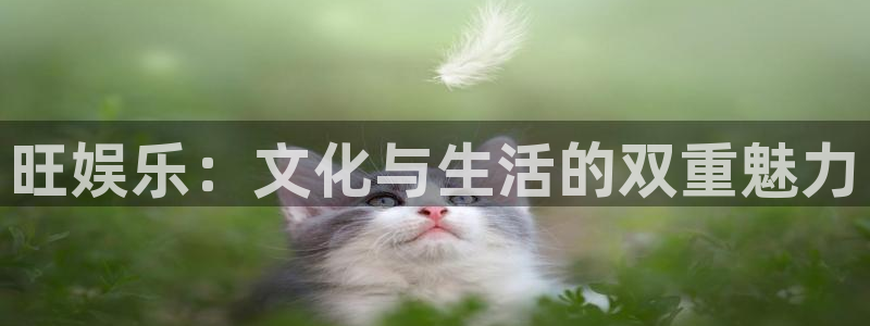 富联娱乐：旺娱乐：文化与生活的双重魅力