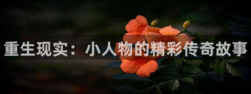 富联娱乐：重生现实：小人物的精彩传奇故事
