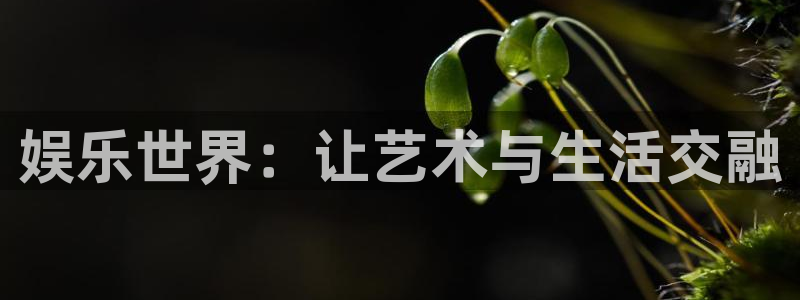 富联娱乐：娱乐世界：让艺术与生活交融